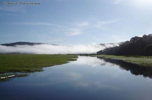 marais-de-kaw-matin